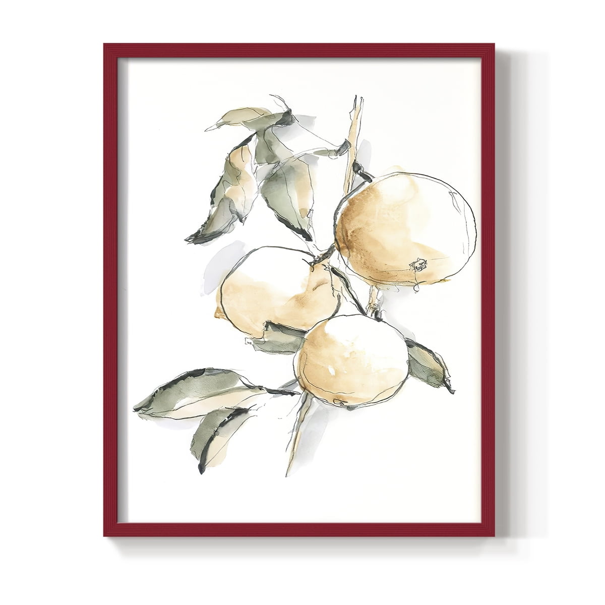 Watercolor Fruit Contour II Framed Print in Red Solid Wood 11 x 14 Framed Print