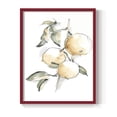thumbnail image 1 of Watercolor Fruit Contour II Framed Print in Red Solid Wood 8 x 10 Framed Print, 1 of 6