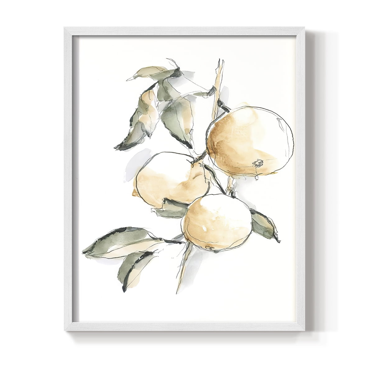 Watercolor Fruit Contour II Framed Print in White Solid Wood 11 x 14 Framed Print
