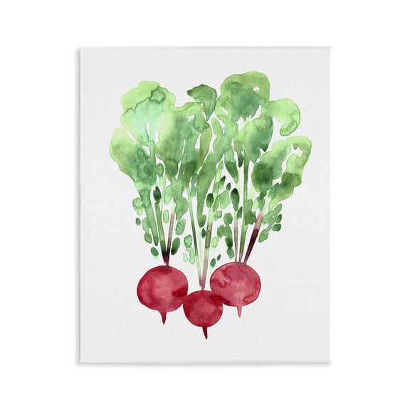 Stupell Industries Watercolor Garden Radishes Wall Plaque Art, design by Camila Juncos, 14 x 11