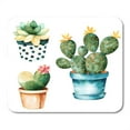 thumbnail image 1 of Watercolor Handpainted Cactus Plant and Succulent in Pot Clipart Mousepad Mouse Pad Mouse Mat 9x10 inch, 1 of 3