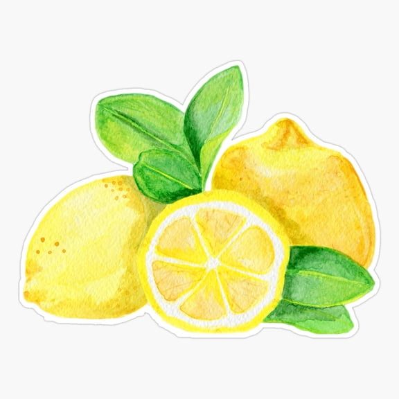 Watercolor Lemon Er, Phone Decal Water Bottle Stickers Car Decals, Funny Birthday Gift