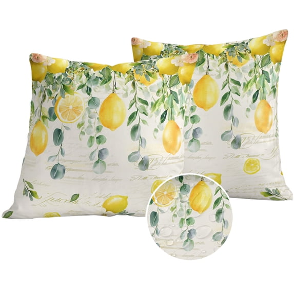 Watercolor Lemon Outdoor Pillow Covers 24x24 Set of 2,Waterproof Patio Throw Pillowcase Protectors,Eucalyptus Leaf Fruit Yellow Flower Decorative Pillow Shams Cushion Covers for Seat Bed Couch Sofa