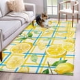 thumbnail image 1 of Watercolor Lemons Area Rugs 2.7'x5', Washable Small Throw Rugs for Kitchen Bedroom, Summer Blue Yellow Checkered Geo Indoor Outdoor Rug Non-Slip Low Pile Carpet Runner Reversible Floor Mats, 1 of 8