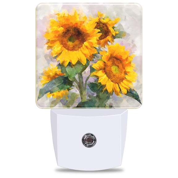 Watercolor Night Light, Plug into Wall with Dusk to Dawn Light Sensors, Warm Nightlights for Bedroom, Bathroom, Hallway, Kitchen, Gifts Ideas for Girls Women