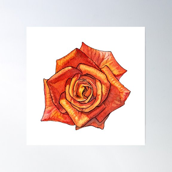 Watercolor Orange Rose Poster Wall Art, Modern Wall Decor For Living Room Bedroom, 30x30 UNFRAMED