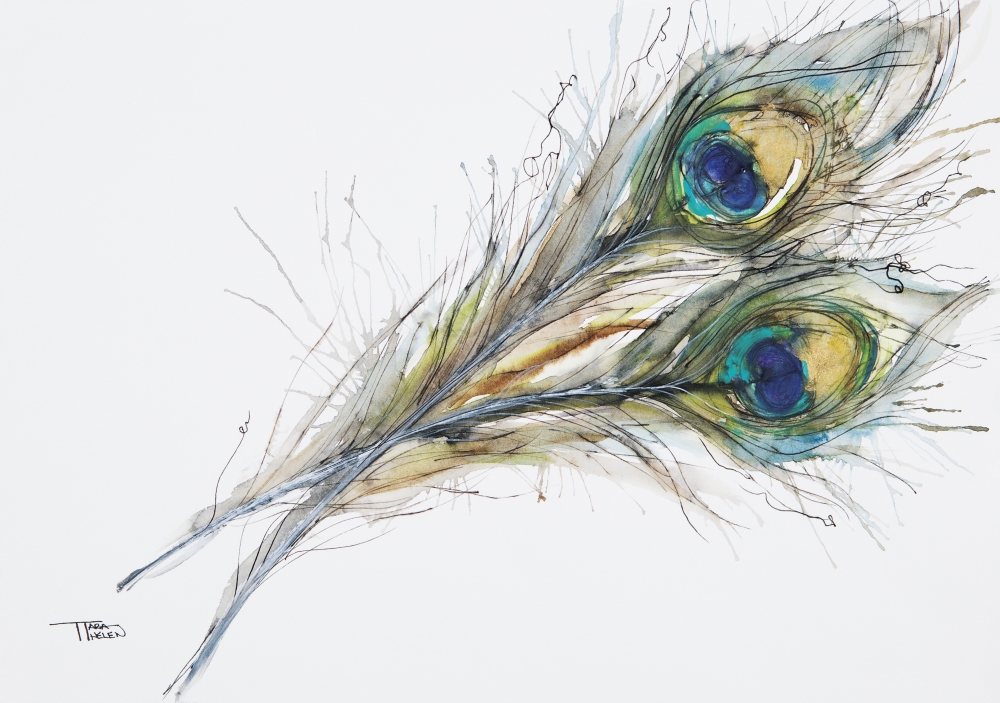 Watercolor Painting Of Two Peacock Feathers Canvas Art - Tara Thelen Design Pics (18 x 13)