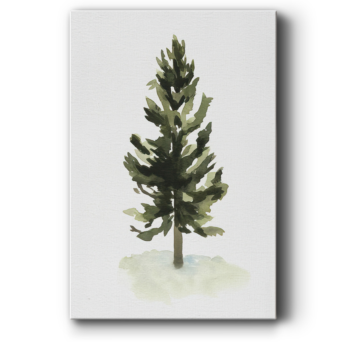 Watercolor Pine I- Gallery Wrapped Canvas