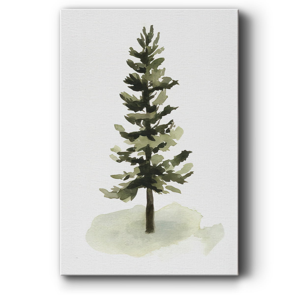 Watercolor Pine II- Gallery Wrapped Canvas