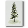 thumbnail image 1 of Watercolor Pine II- Gallery Wrapped Canvas, 1 of 9