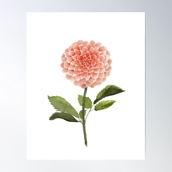 Watercolor Pink Dahlia Flower Poster Wall Art, Modern Wall Decor For Living Room Bedroom, 8x12 UNFRAMED