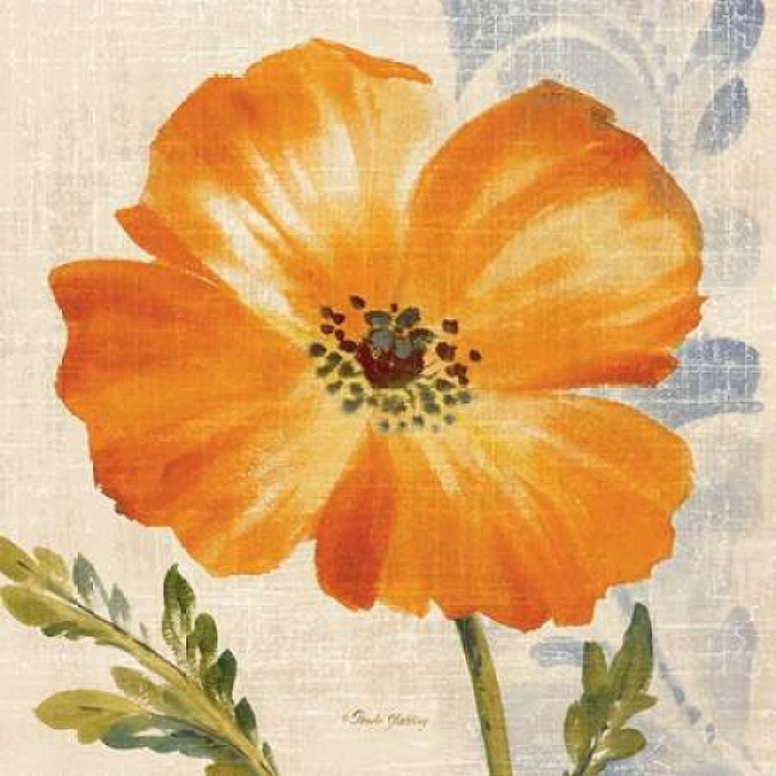 Watercolor Poppies III Canvas Art - Pamela Gladding (24 x 24)