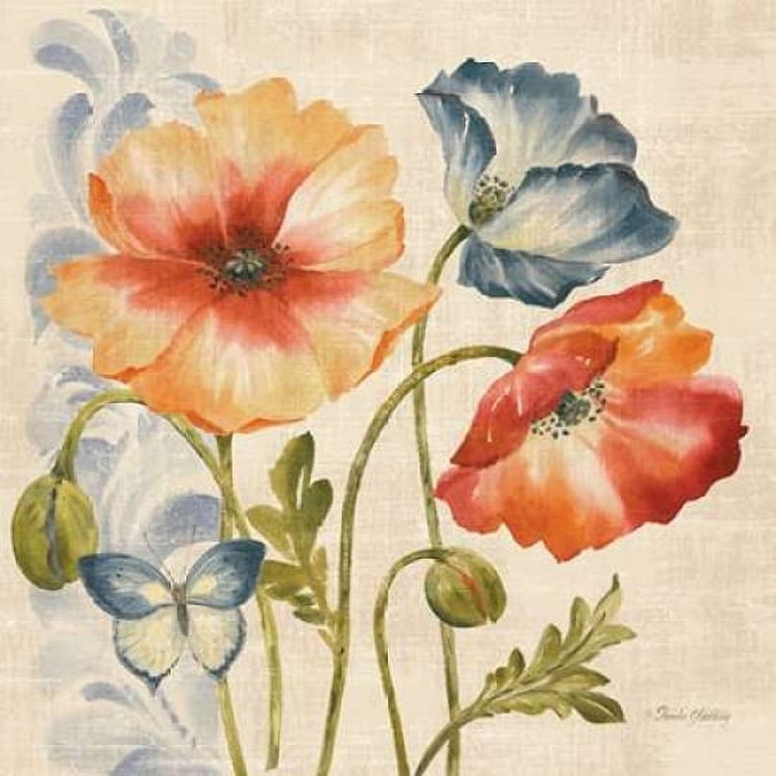Watercolor Poppies Multi I Canvas Art - Pamela Gladding (24 x 24)