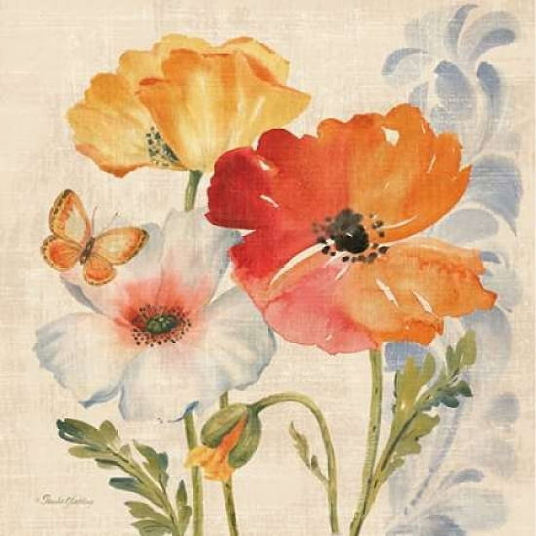 Watercolor Poppies Multi II Canvas Art - Pamela Gladding (24 x 24)