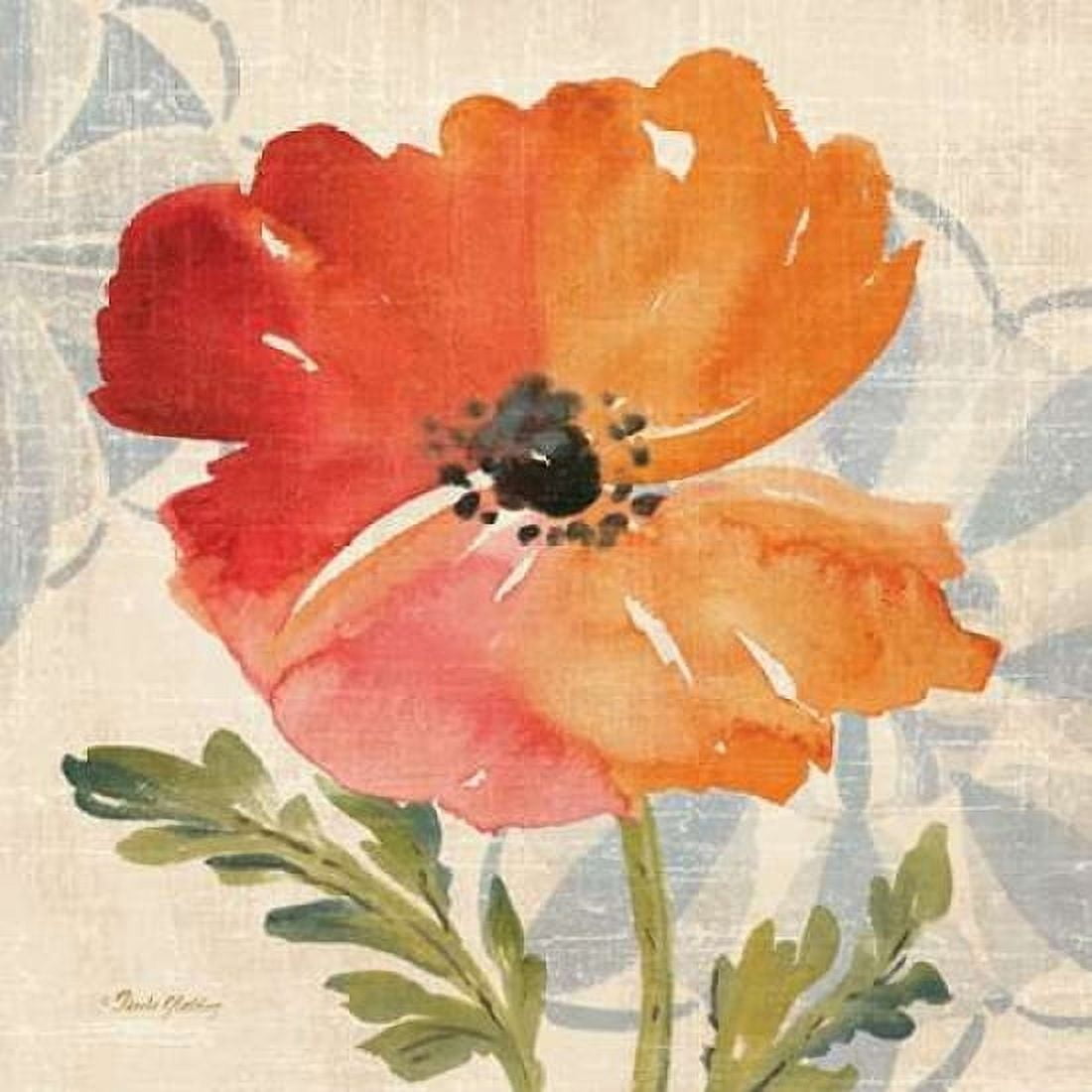Watercolor Poppies V Canvas Art - Pamela Gladding (24 x 24)