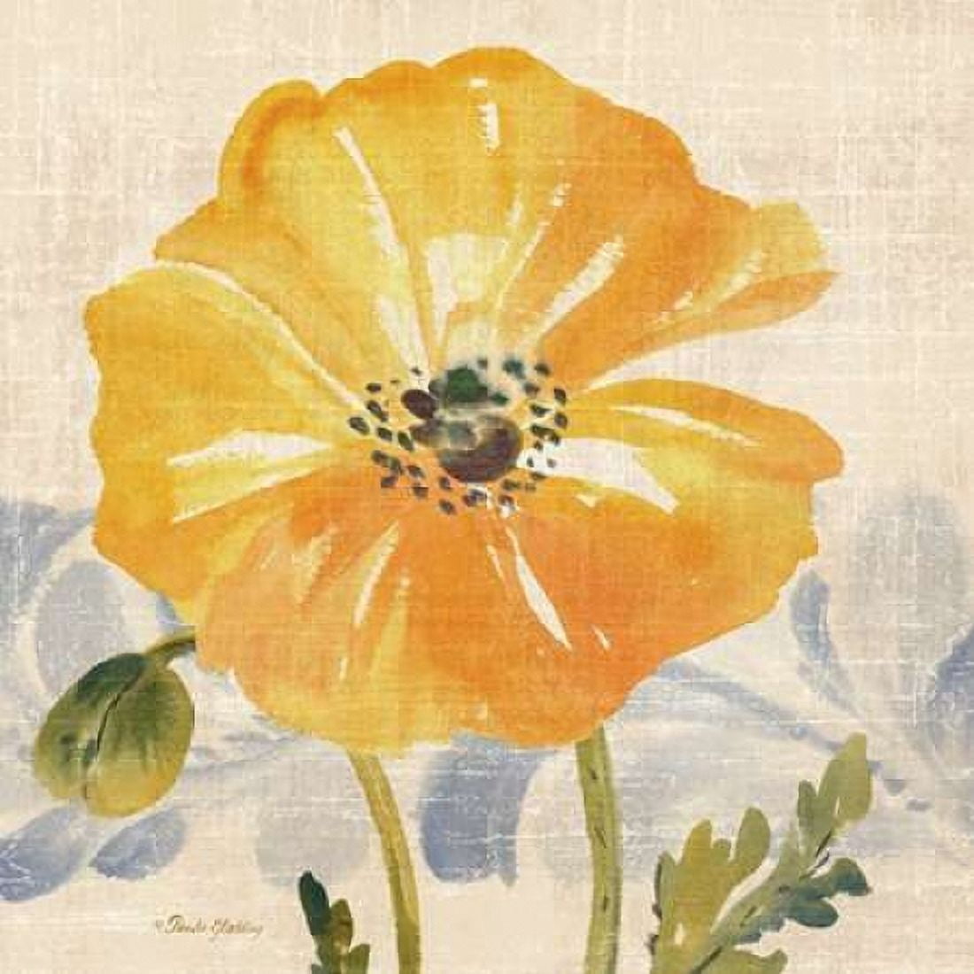 Watercolor Poppies VI Canvas Art - Pamela Gladding (24 x 24)