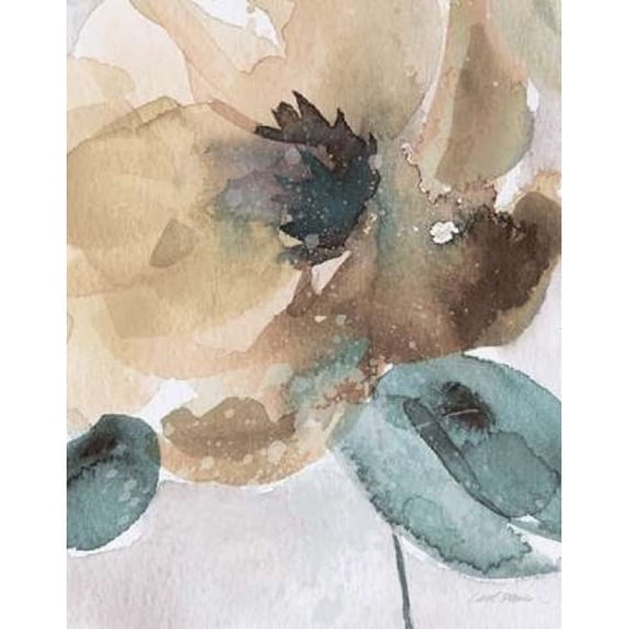 Watercolor Poppy II Poster Print by Carol Robinson