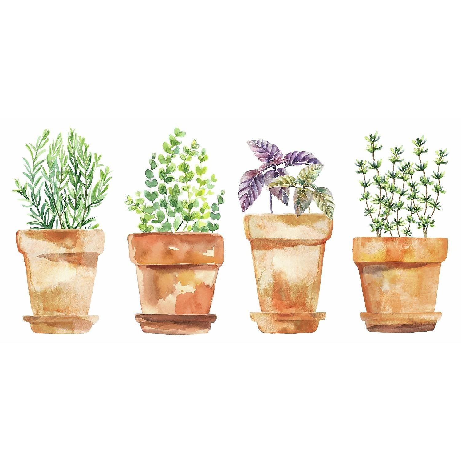 Watercolor Potted Herbs Vinyl Peel and Stick Wall Decals Set