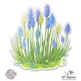 thumbnail image 1 of Watercolor Pretty Blue Flowers Muscari - 5" Vinyl Sticker - For Car Laptop I-Pad - Waterproof Decal, 1 of 1