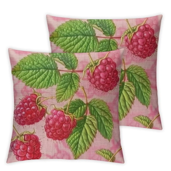 Watercolor Raspberry Throw Pillow Cover Pillowcase,for Sofa Car Bedroom Cushion Cover