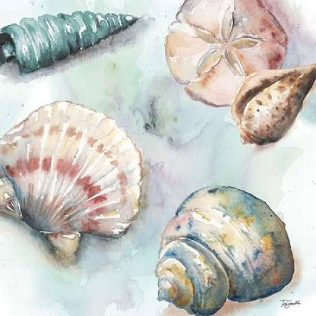 Watercolor Shell Toss I Canvas Art - Tre Sorelle Studios (24 x 24)