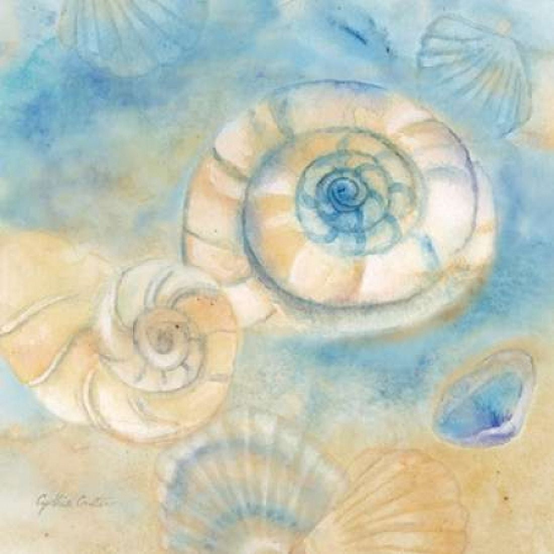 Watercolor Shells I Canvas Art - Cynthia Coulter (24 x 24)