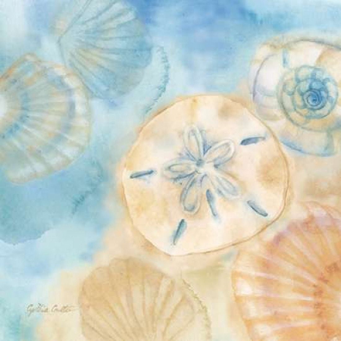 Watercolor Shells III Canvas Art - Cynthia Coulter (24 x 24)