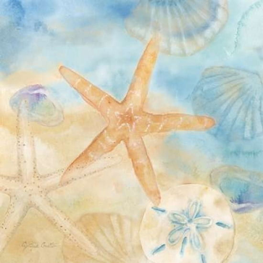 Watercolor Shells IV Canvas Art - Cynthia Coulter (24 x 24)