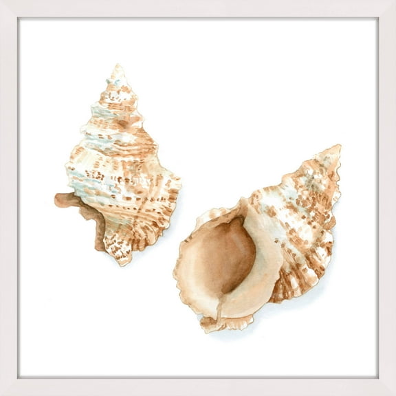 "Watercolor Shells VII" Framed Painting Print