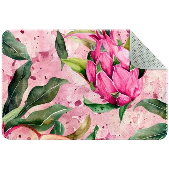 Watercolor Summer Exotic Fruit Pattern Entryway Rug, 2x3 Area Rug Indoor Door Mat Non-slip Washable Floor Carpet Rug for Bedroom Office Dining Room Bathroom