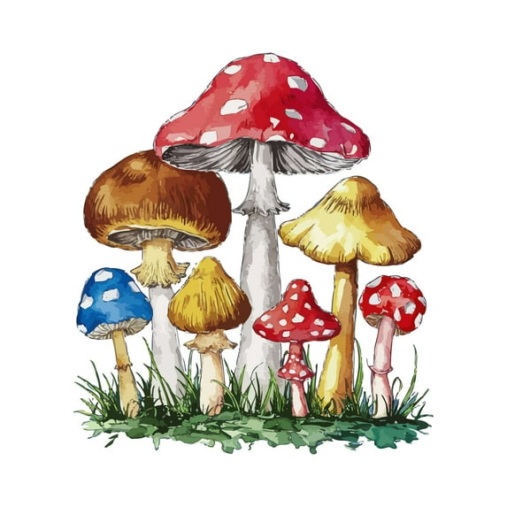 Watercolor Toadstool Harvest Mushroom Cartoon Wall Art Sticker Designs Vinyl Stickers For Home House Walls Rooms Windows Bedroom Decoration Size (20x20 inch)