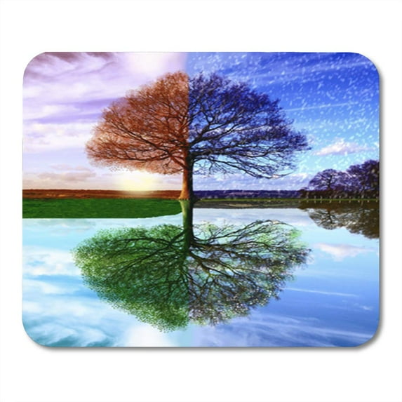 Watercolor Tree Four Seasons Weather Spring Winter Colors Fall Glasses Mousepad Mouse Pad Mouse Mat 9x10 inch