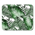 thumbnail image 1 of Watercolor Tropical Leaves Palms Monstera Passion Fruit Beautiful Allover Exotic Plants Swimwear Mousepad Mouse Pad Mouse Mat 9x10 inch, 1 of 3