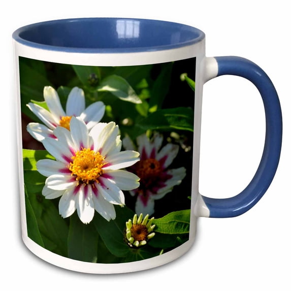 3drose, Watercolor White Floral, 11oz Two-tone Blue Mug