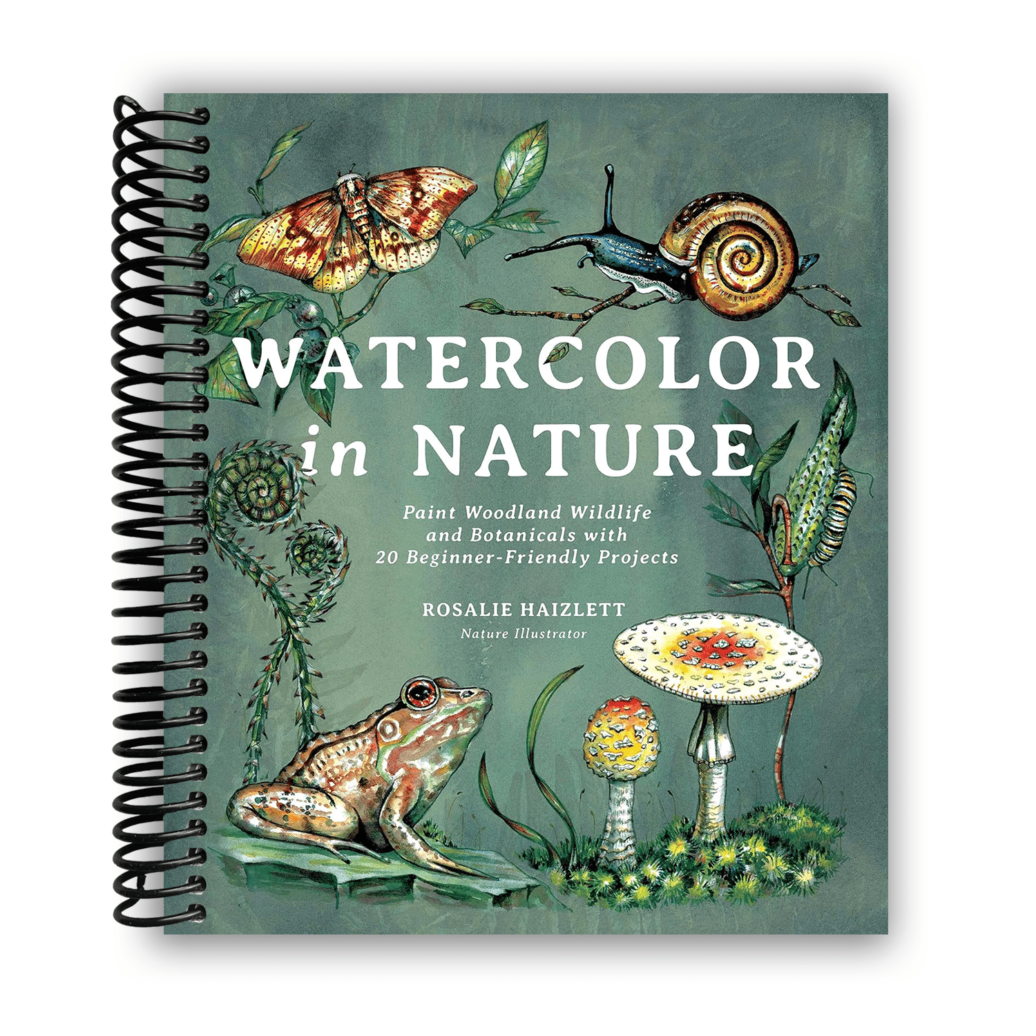 Watercolor in Nature Paint Woodland Wildlife and Botanicals with 20