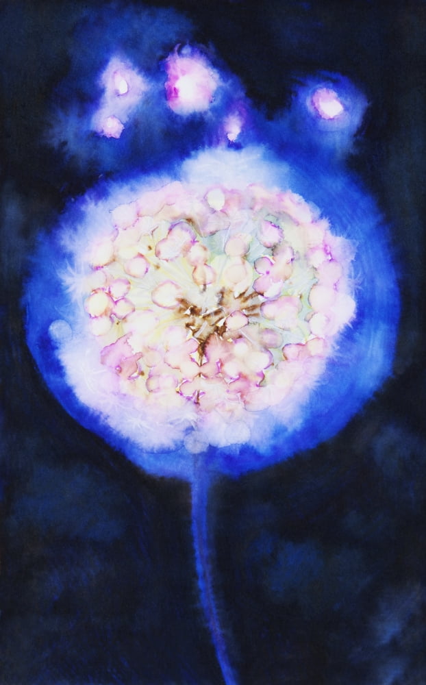 Watercolor painting of an illuminated dandilion Canvas Art - Tara Thelen Design Pics (11 x 18)