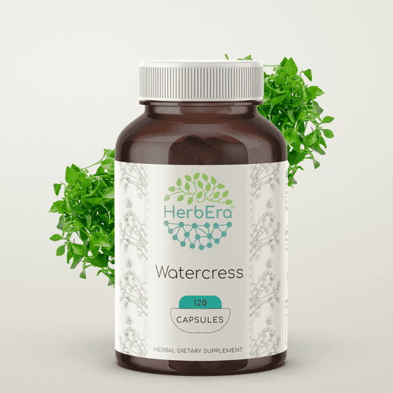 HerbEra Watercress Capsules, Herbal Dietary Supplement for Antioxidant Support, Watercress (Nasturtium Officinale) Dried Herb Capsules, Natural, 120 Capsules