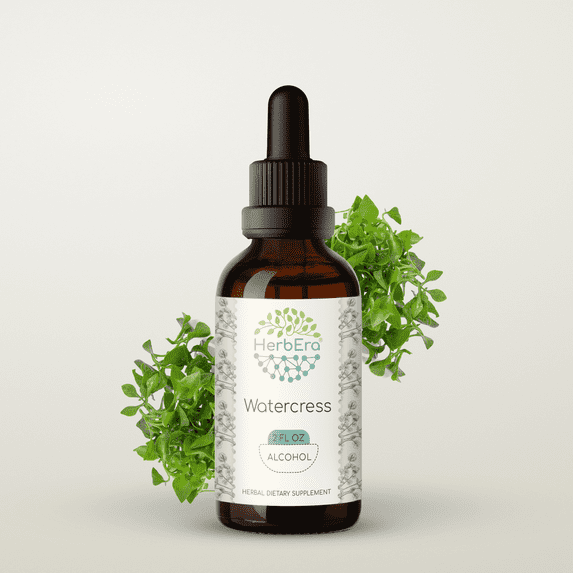 HerbEra Watercress Tincture, Herbal Dietary Supplement for Antioxidant Support, Watercress (Nasturtium officinale) Dried Herb Extract, Natural, Alcohol Tincture, Drops 2 oz