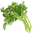 thumbnail image 1 of Watercress, 1 of 1