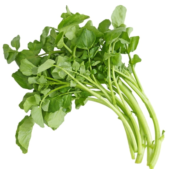 Watercress