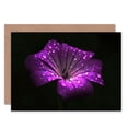 thumbnail image 1 of Waterdrops On Single Purple Flower Photo Birthday Greetings Card Plus Envelope Blank inside, 1 of 3