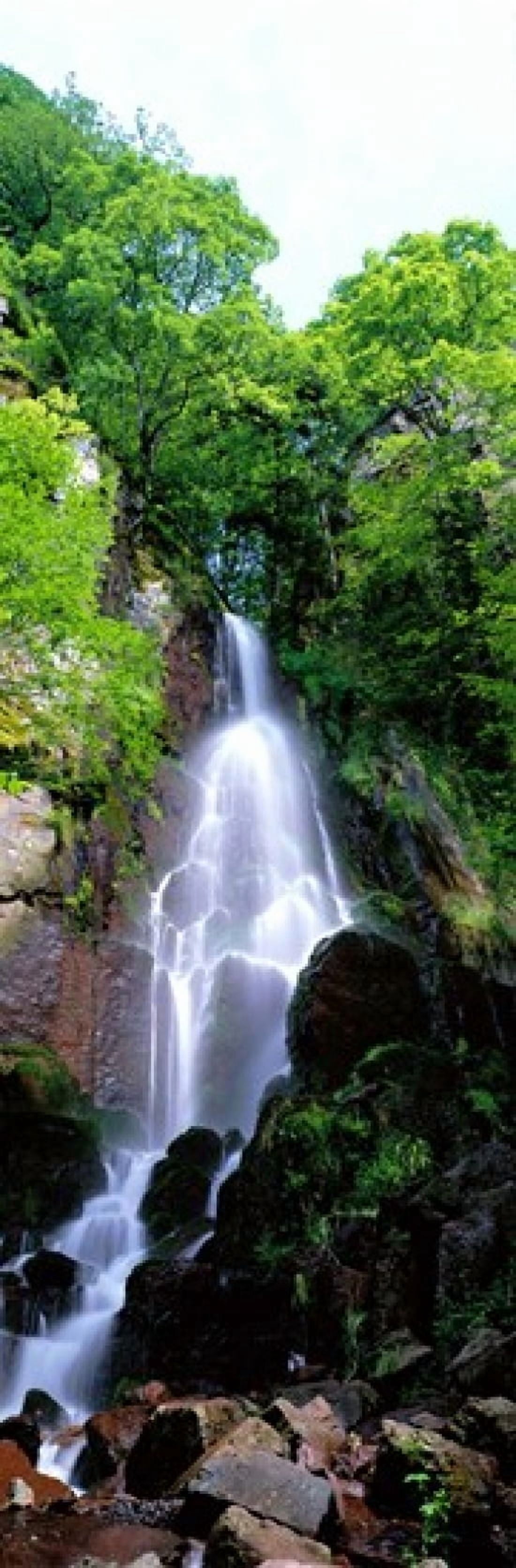 Waterfall Alsace France Canvas Art - Panoramic Images (36 x 12)