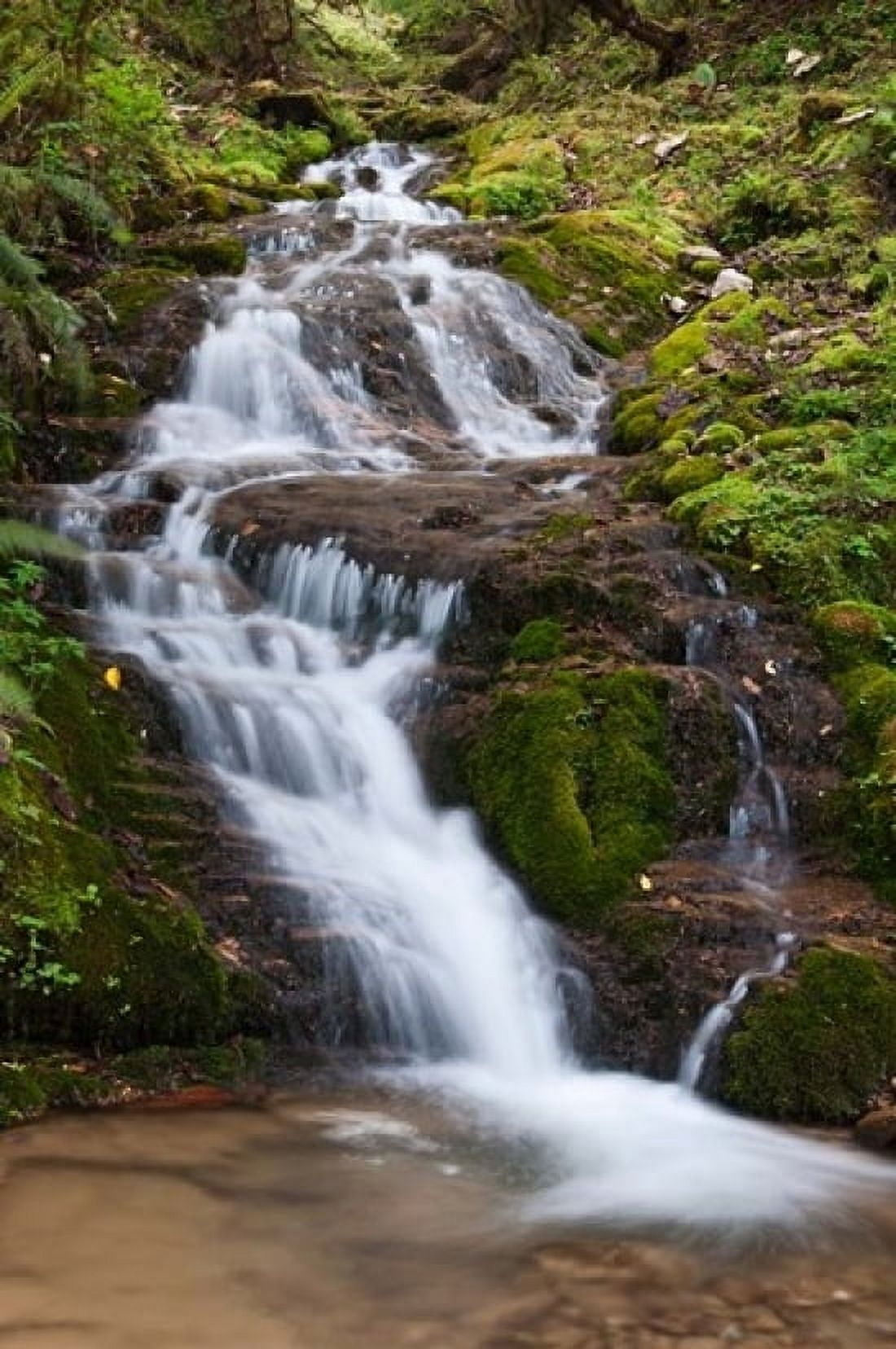 Waterfall Bhutan Canvas Art - Jaynes Gallery DanitaDelimont (24 x 36)