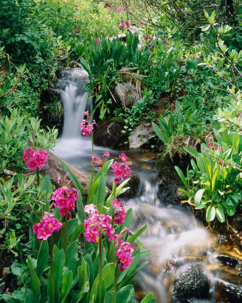 Waterfall CO USA Canvas Art - Panoramic Images (22 x 27)