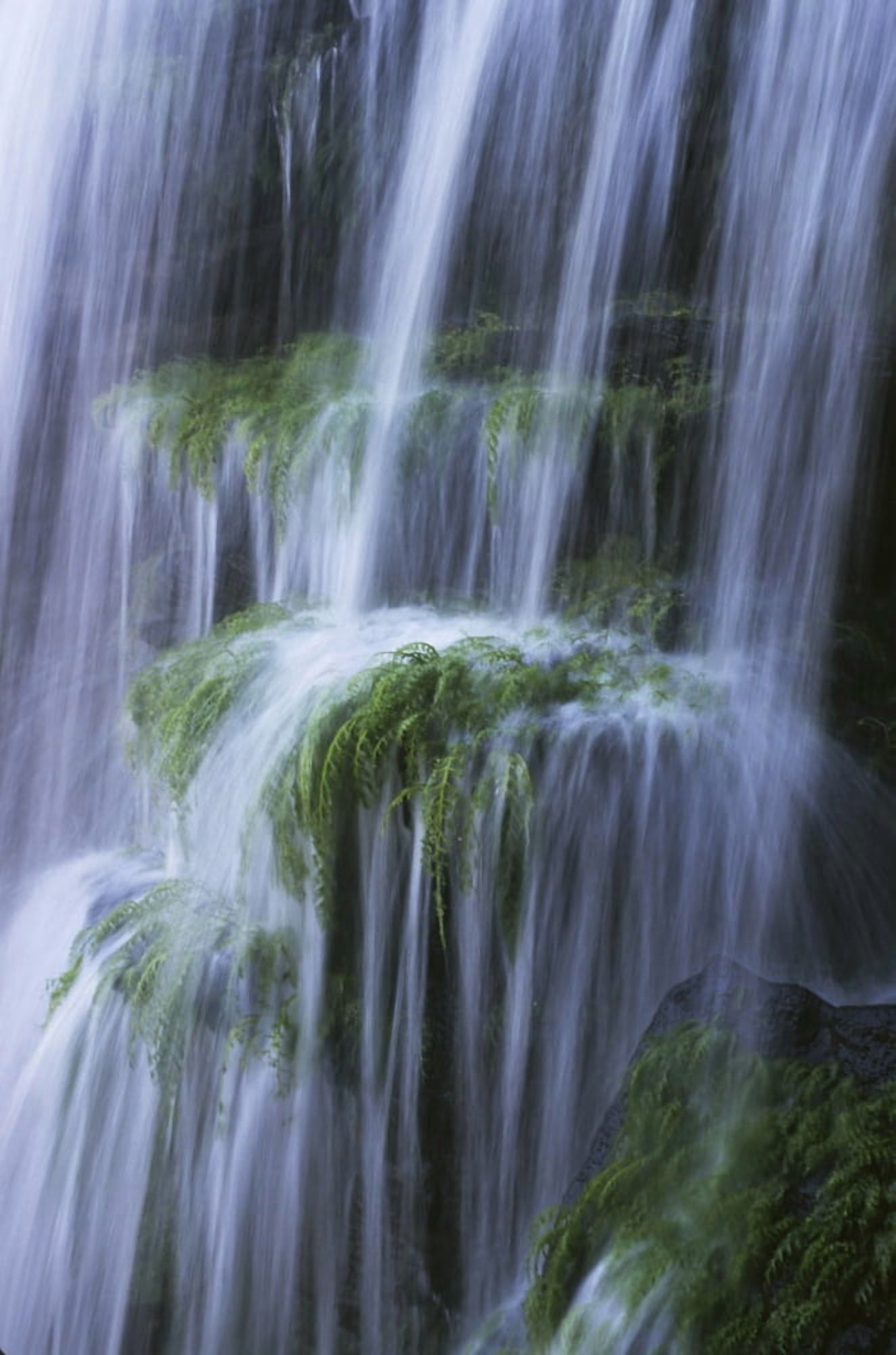 Waterfall Canvas Art - Charles Bowman Design Pics (24 x 38)
