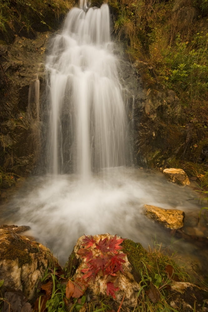 Waterfall Canvas Art - John Short Design Pics (12 x 18)