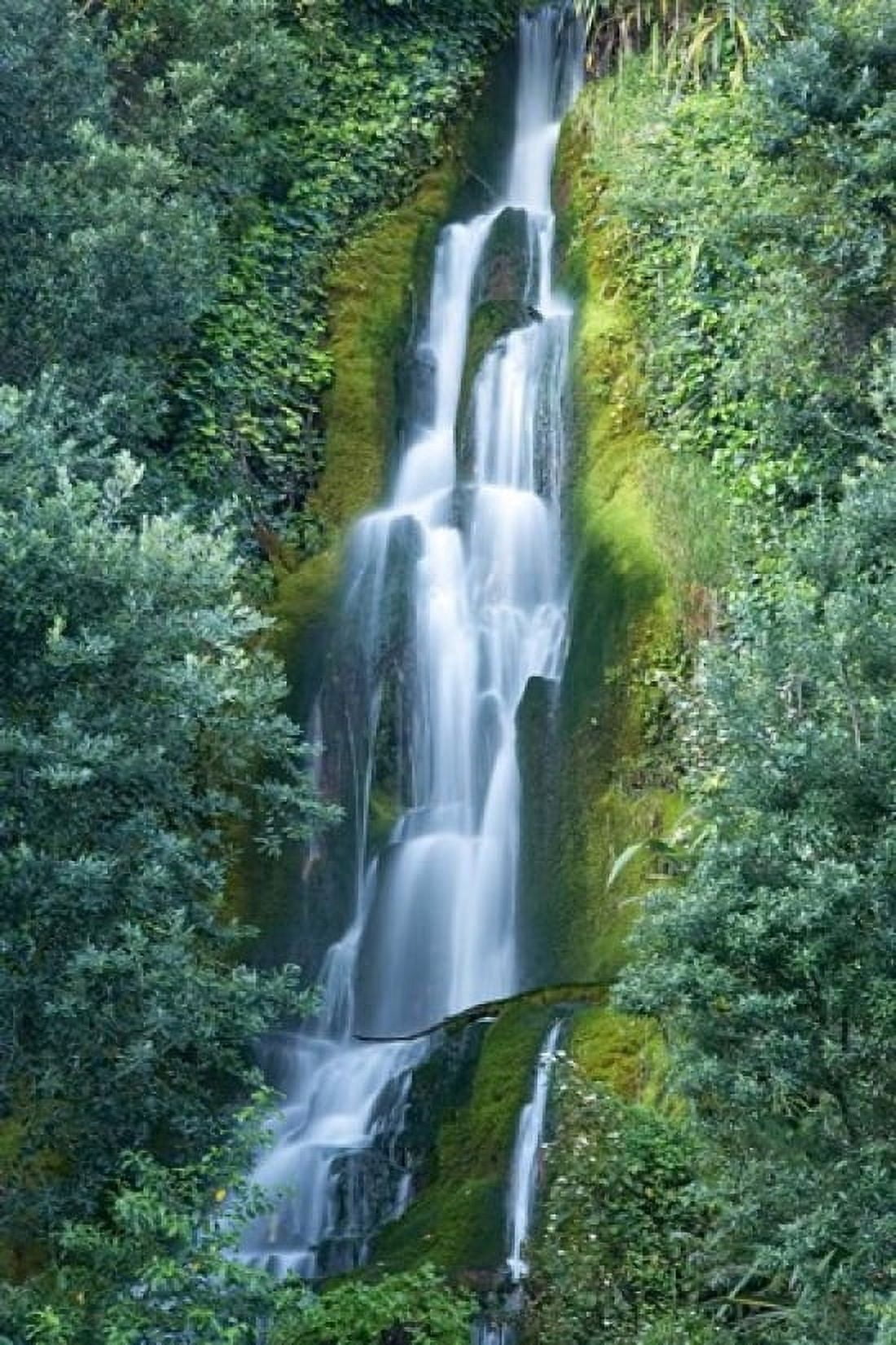 Waterfall Centennial Gardens Napier Hawkes Bay North Island New Zealand Canvas Art - David Wall DanitaDelimont (12 x 17)