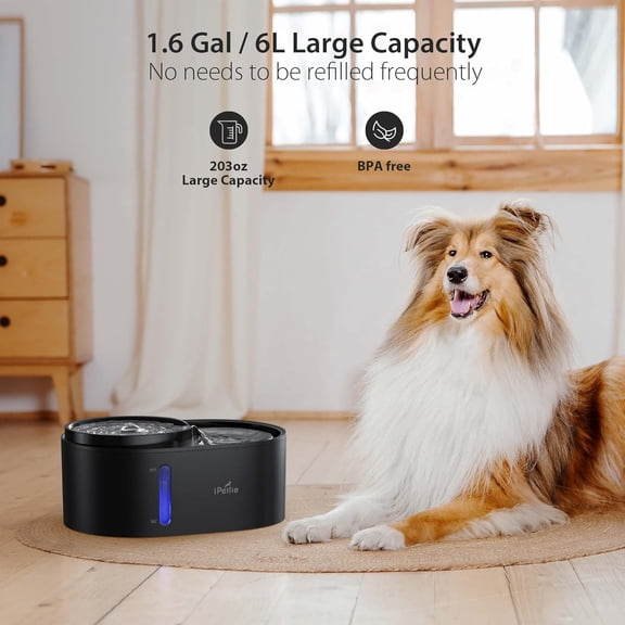 Waterfall Dog Cat Fountain 203oz with 5-Stage Filter, Dual Height, Quiet Pump, Night Light & Low Water Alert