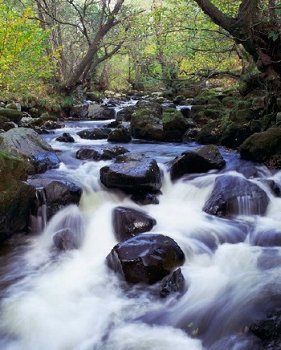 Waterfall England Canvas Art - Paul Thompson DanitaDelimont (29 x 36)