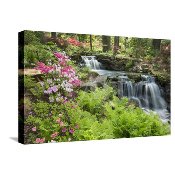 Waterfall with Ferns and Azaleas at Azalea Path Arboretum and Botanical Gardens, Hazleton, Indiana, Botanical Scenic Stretched Canvas Wall Art by Richard and Susan Day Sold by Art.Com